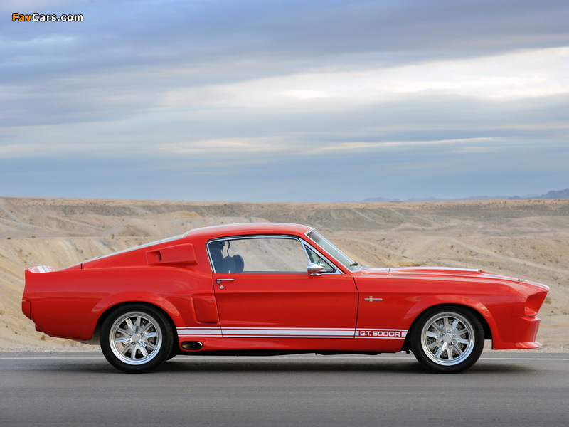 Classic Recreations Shelby GT500CR 2010 pictures (800 x 600)