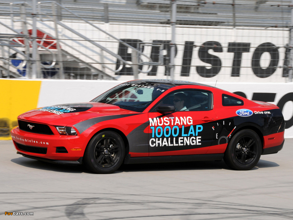 Mustang V6 1000 Lap Challenge 2010 wallpapers (1024 x 768)