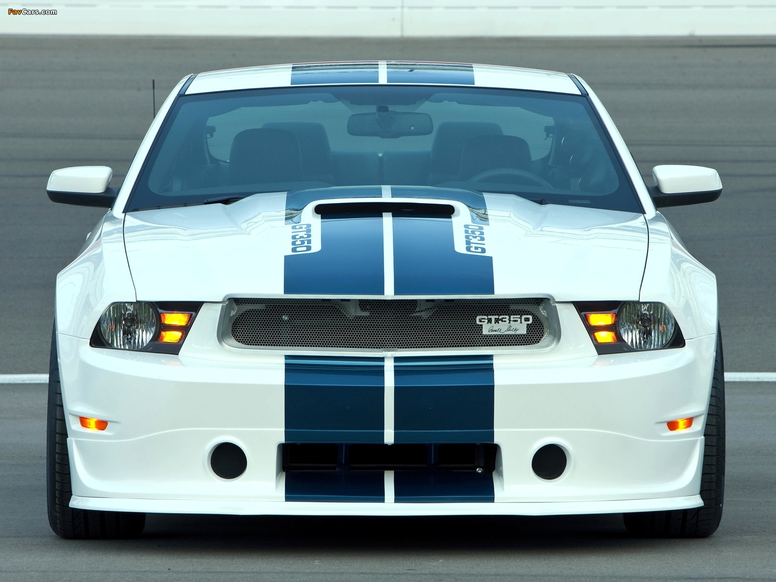 Shelby GT350 2010 wallpapers (1600 x 1200)