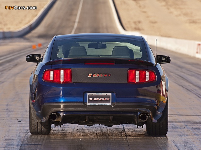 Shelby 1000 2012 images (640 x 480)