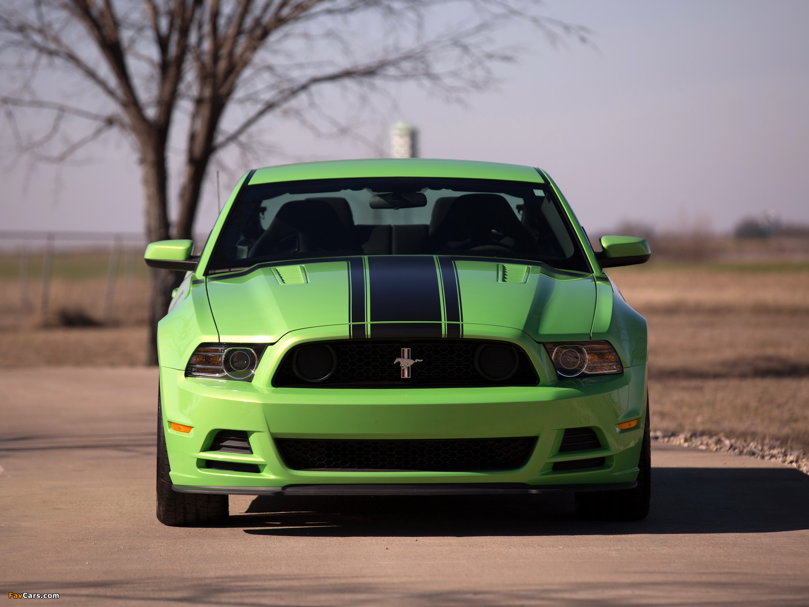 Ford Mustang Boss 302 2012–2014 images (1600 x 1200)