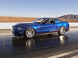 Shelby 1000 2012 photos