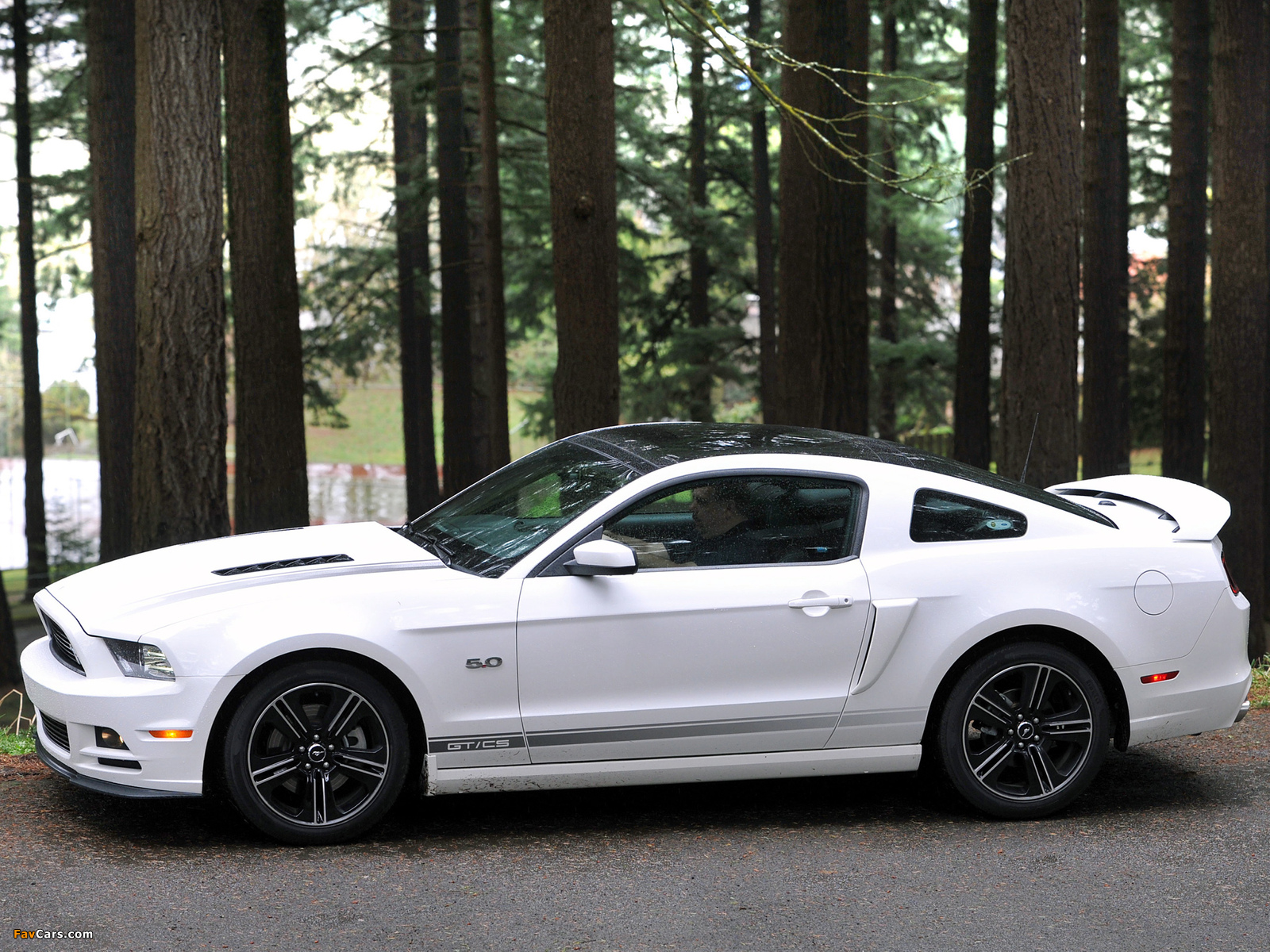 Mustang 5.0 GT California Special Package 2012 photos (1600 x 1200)