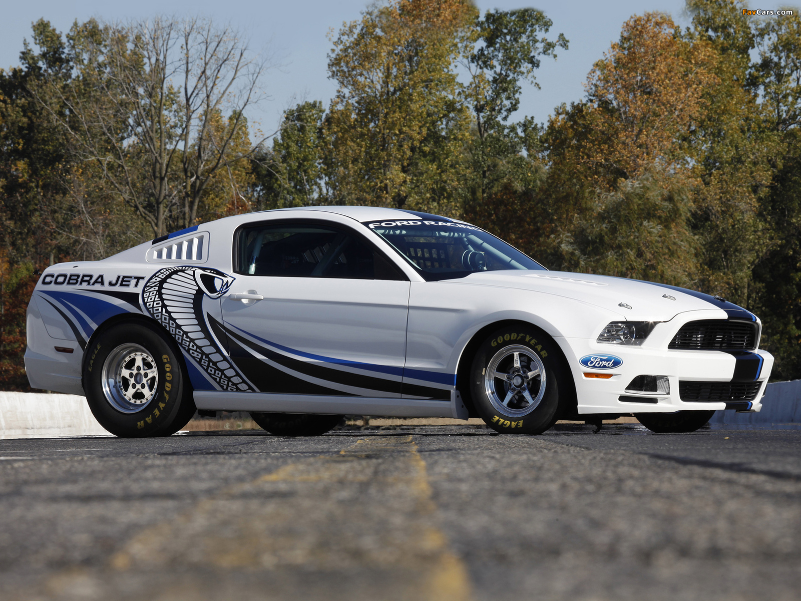 Ford Mustang Cobra Jet Twin-Turbo Concept 2012 pictures (1600 x 1200)