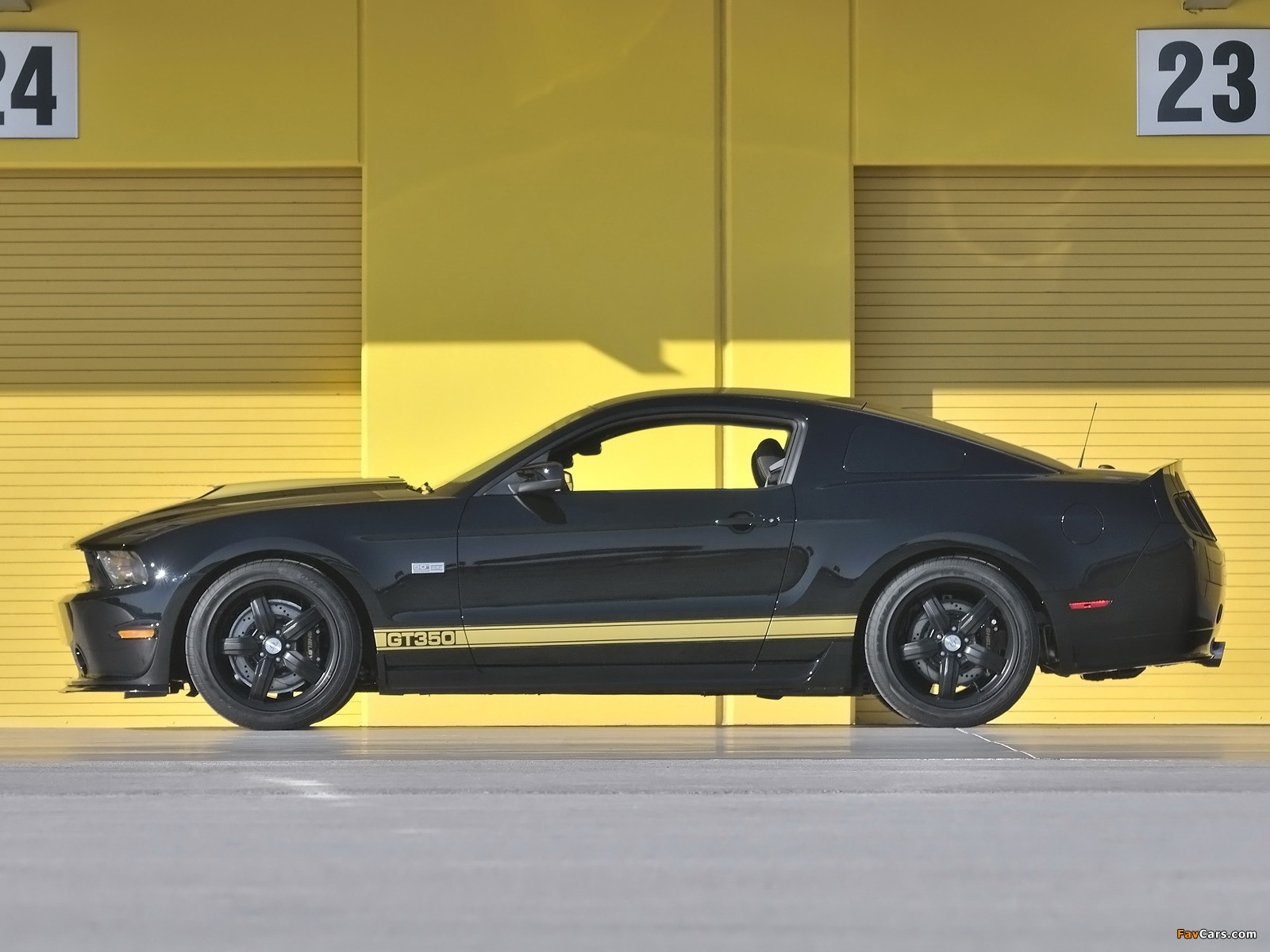Shelby GT350 50th Anniversary 2012 pictures (1600 x 1200)