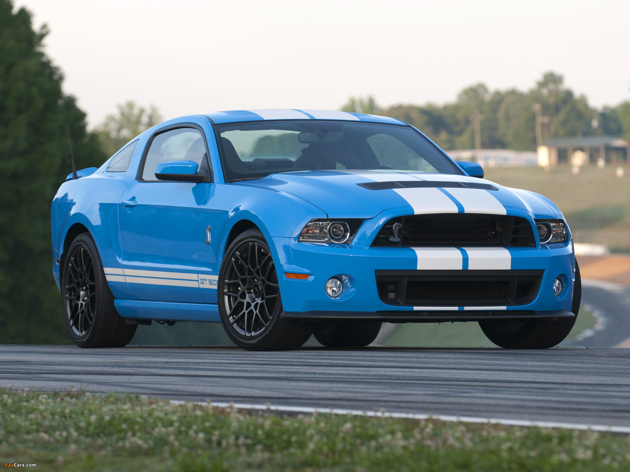 Shelby GT500 SVT 2012 pictures (2048 x 1536)