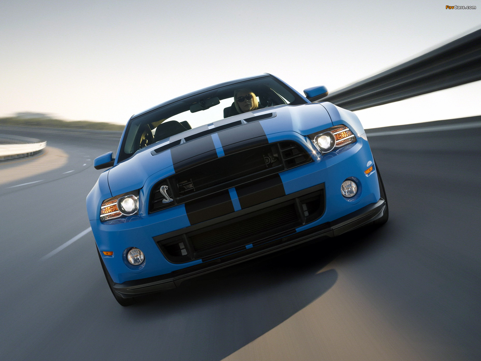Shelby GT500 SVT 2012 wallpapers (1600 x 1200)