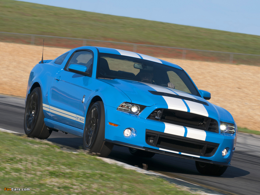 Shelby GT500 SVT 2012 wallpapers (1024 x 768)