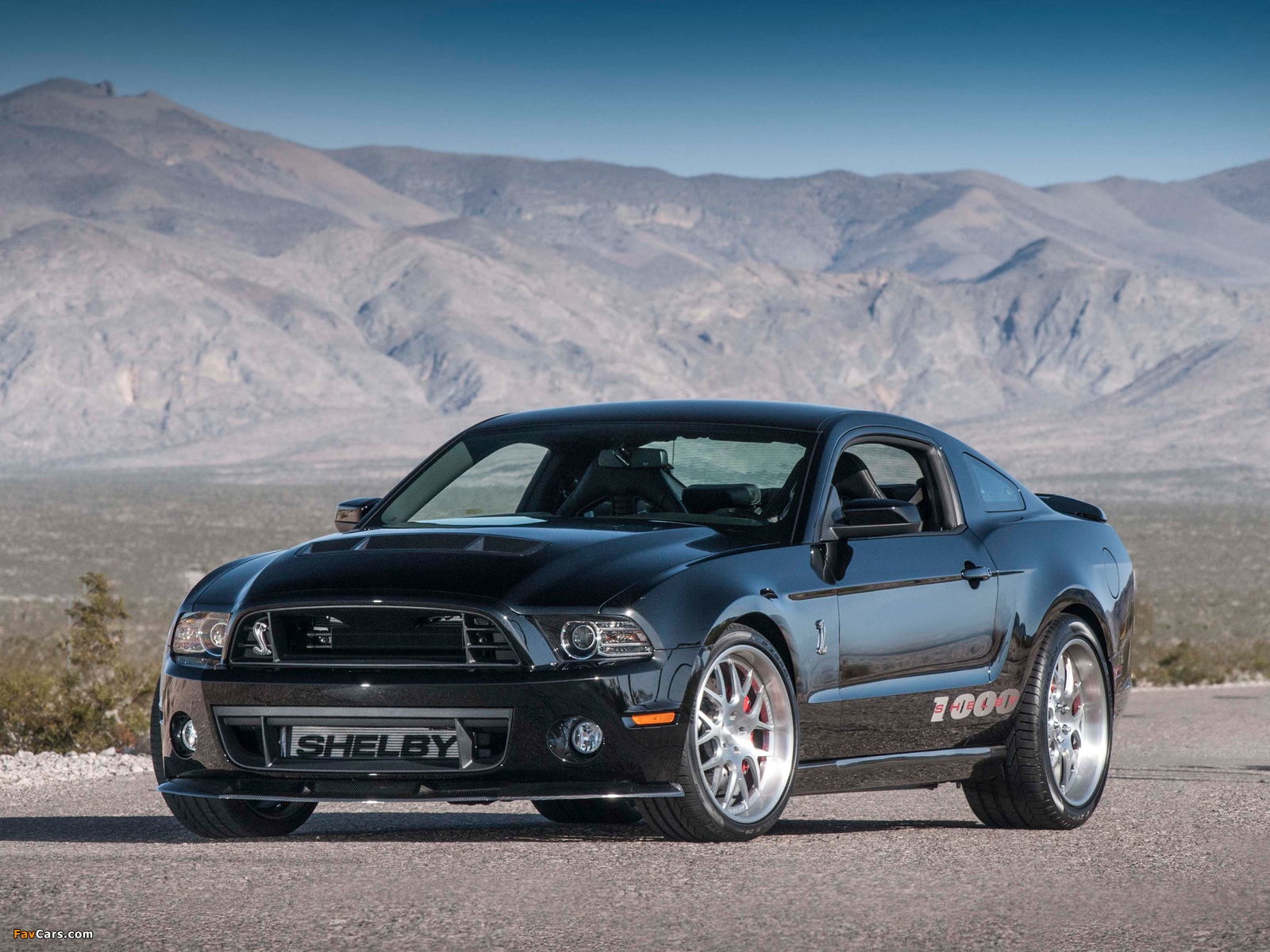 Shelby 1000 S/C 2013 images (1600 x 1200)