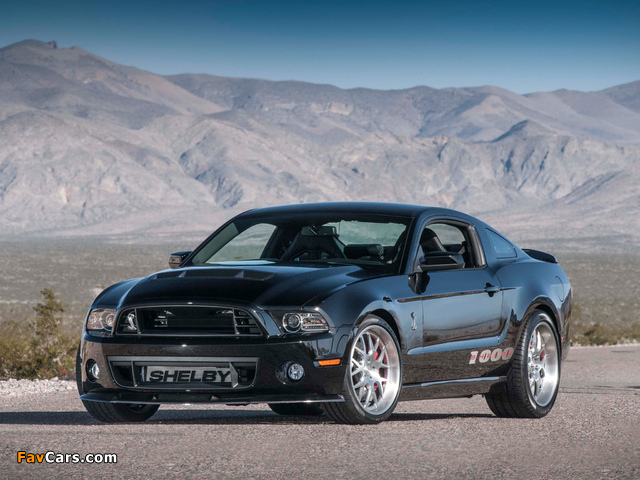 Shelby 1000 S/C 2013 images (640 x 480)