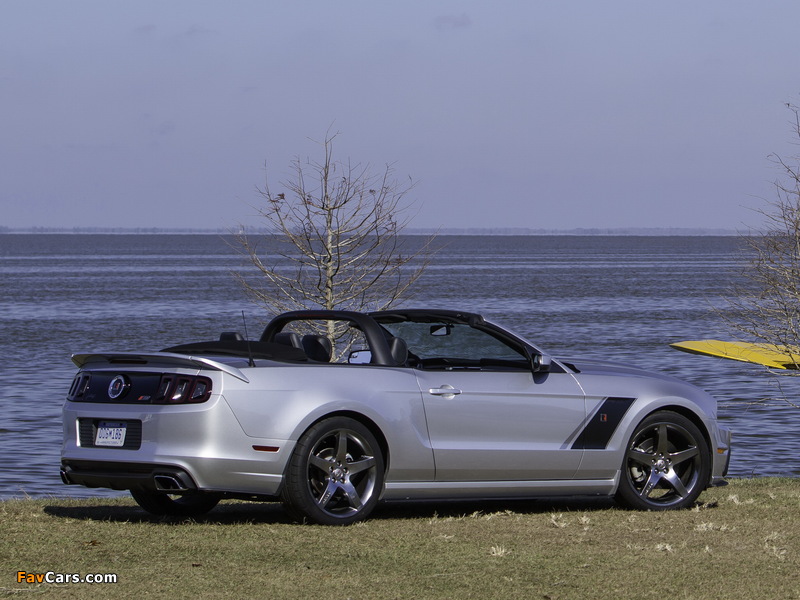 Roush Stage 3 Convertible 2013 photos (800 x 600)