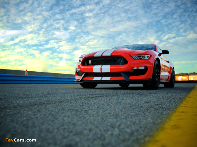 Shelby GT350 Mustang 2015 images (640 x 480)