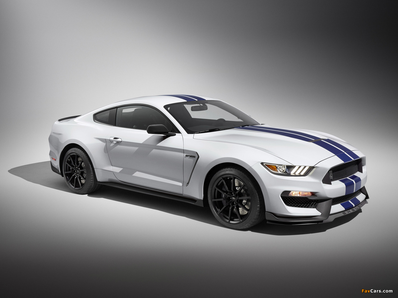 Shelby GT350 Mustang 2015 images (1280 x 960)