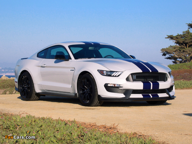 Shelby GT350 Mustang 2015 pictures (640 x 480)