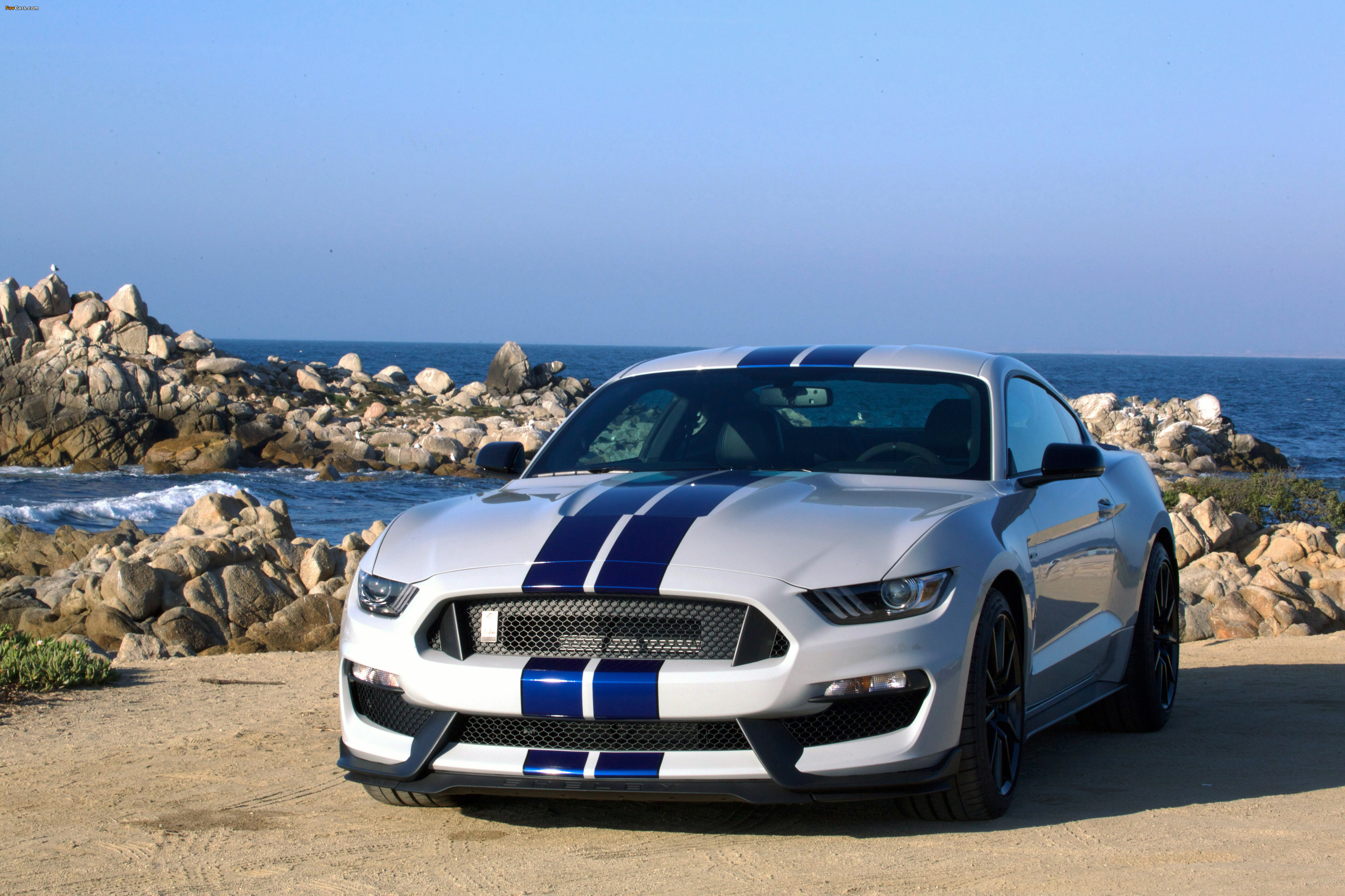 Shelby GT350 Mustang 2015 pictures (4096 x 2731)