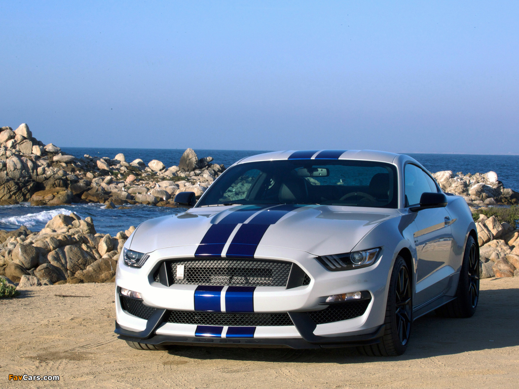 Shelby GT350 Mustang 2015 pictures (1024 x 768)