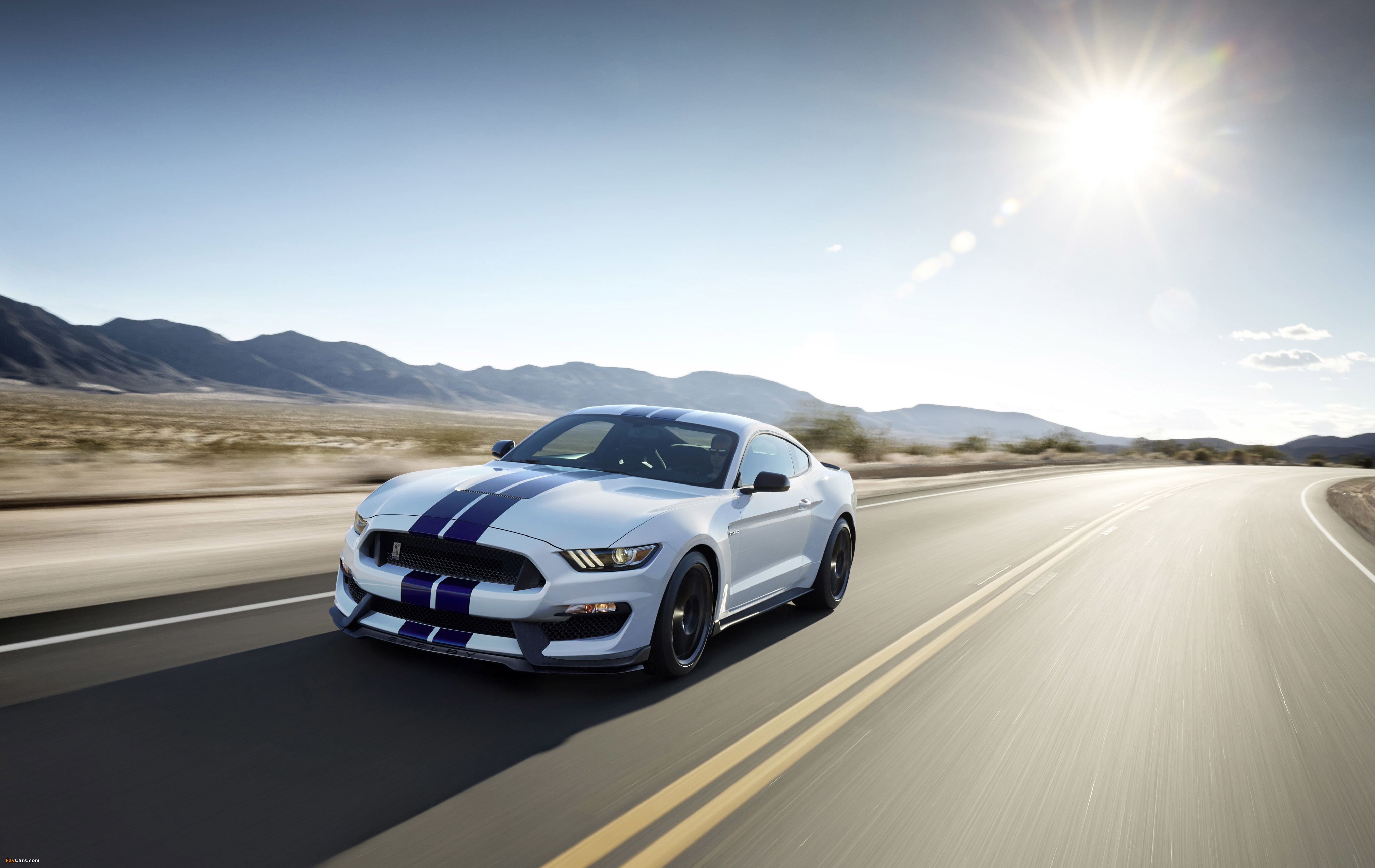 Shelby GT350 Mustang 2015 pictures (4096 x 2587)