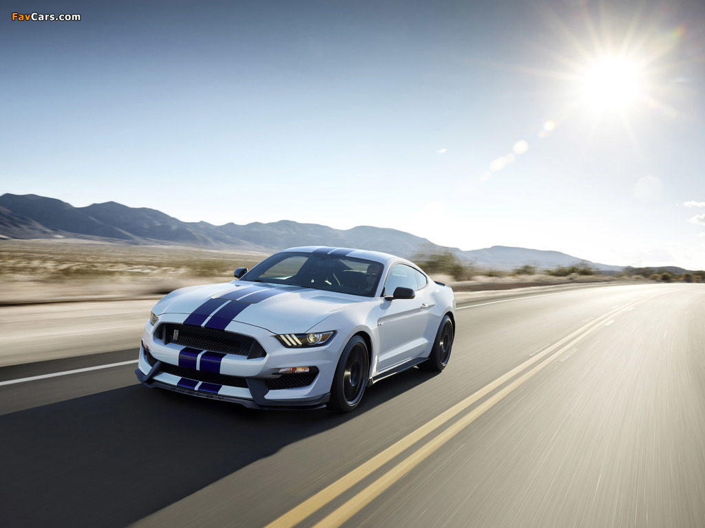 Shelby GT350 Mustang 2015 pictures (1024 x 768)