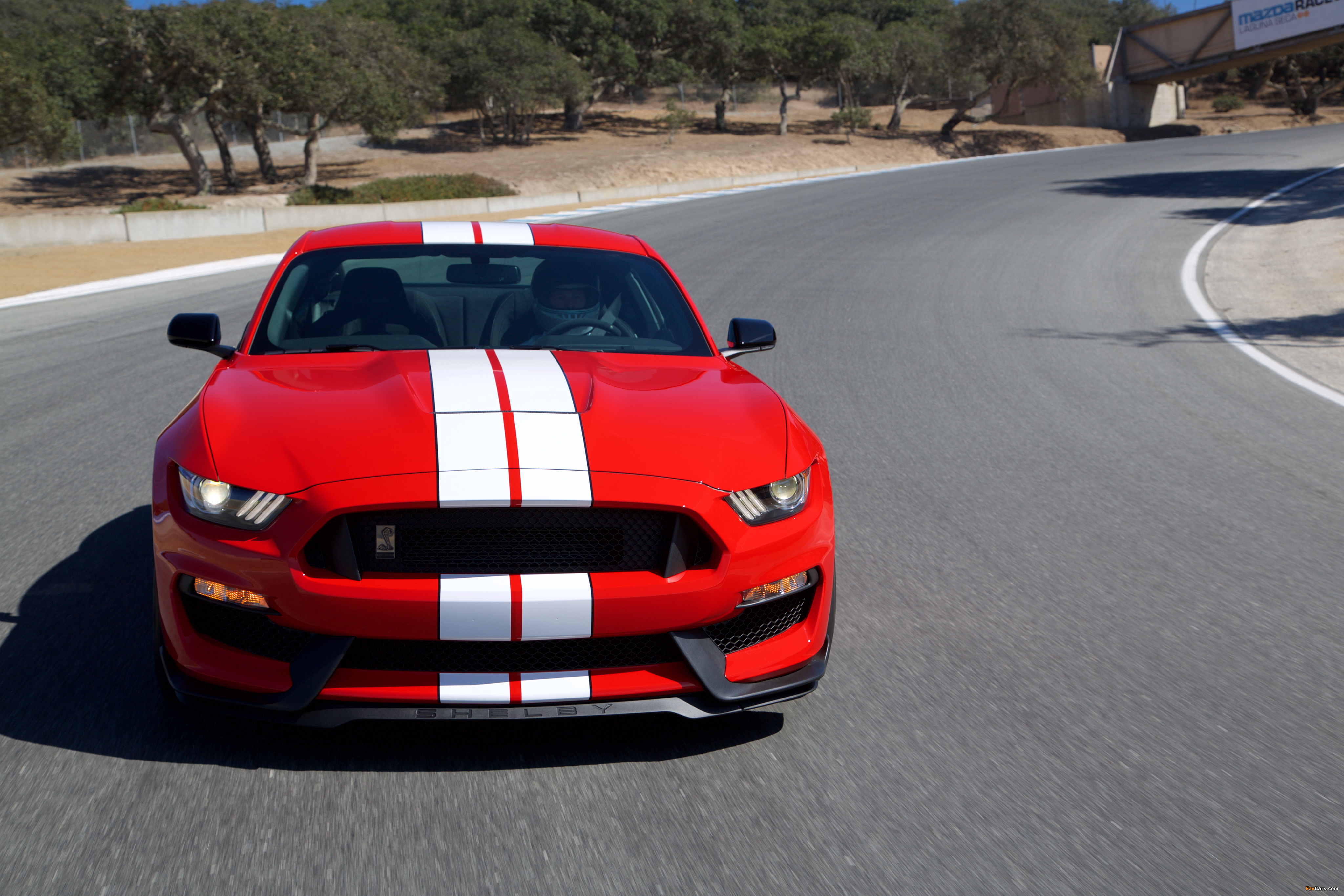 Shelby GT350 Mustang 2015 wallpapers (4096 x 2731)