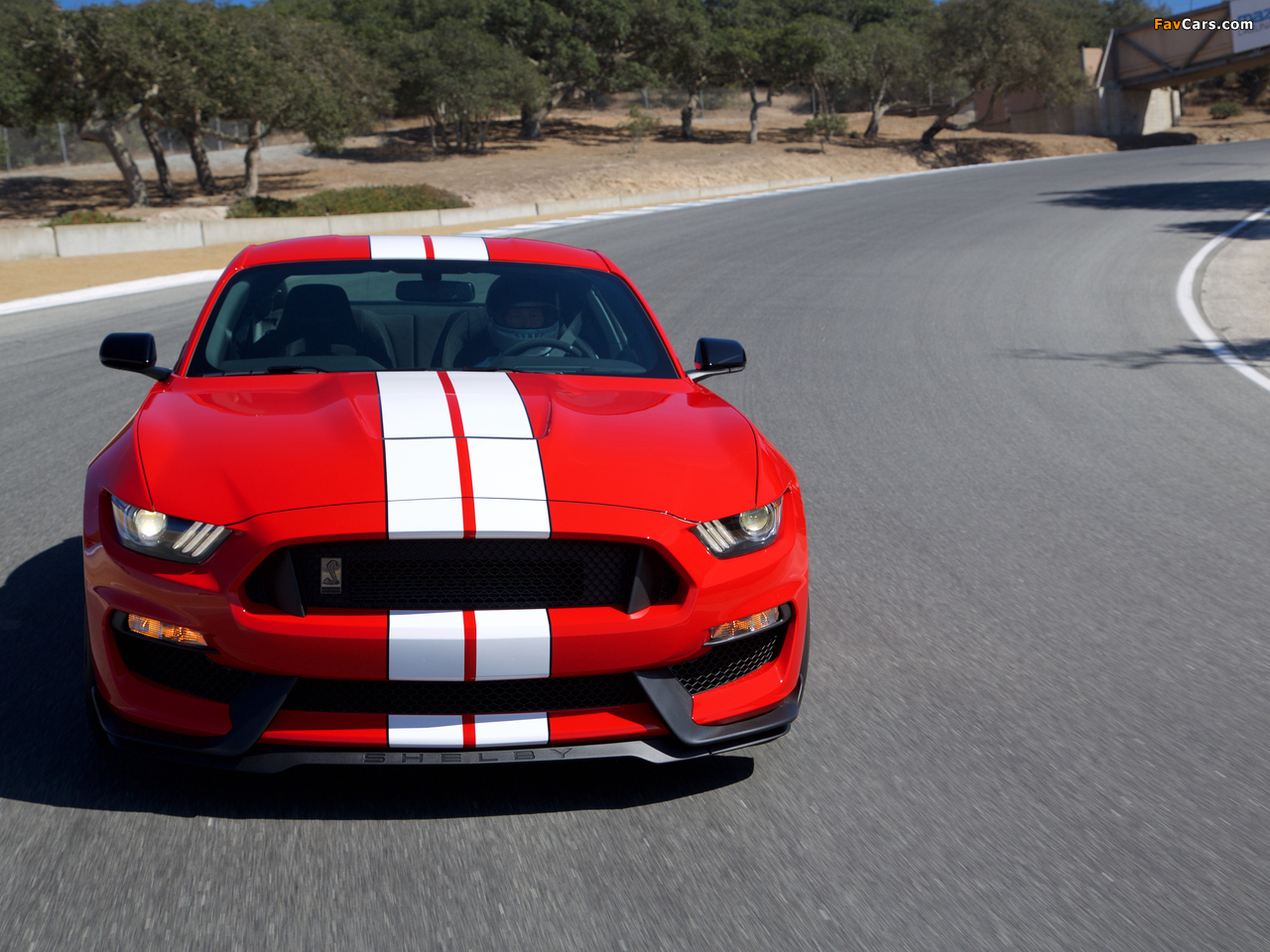 Shelby GT350 Mustang 2015 wallpapers (1280 x 960)