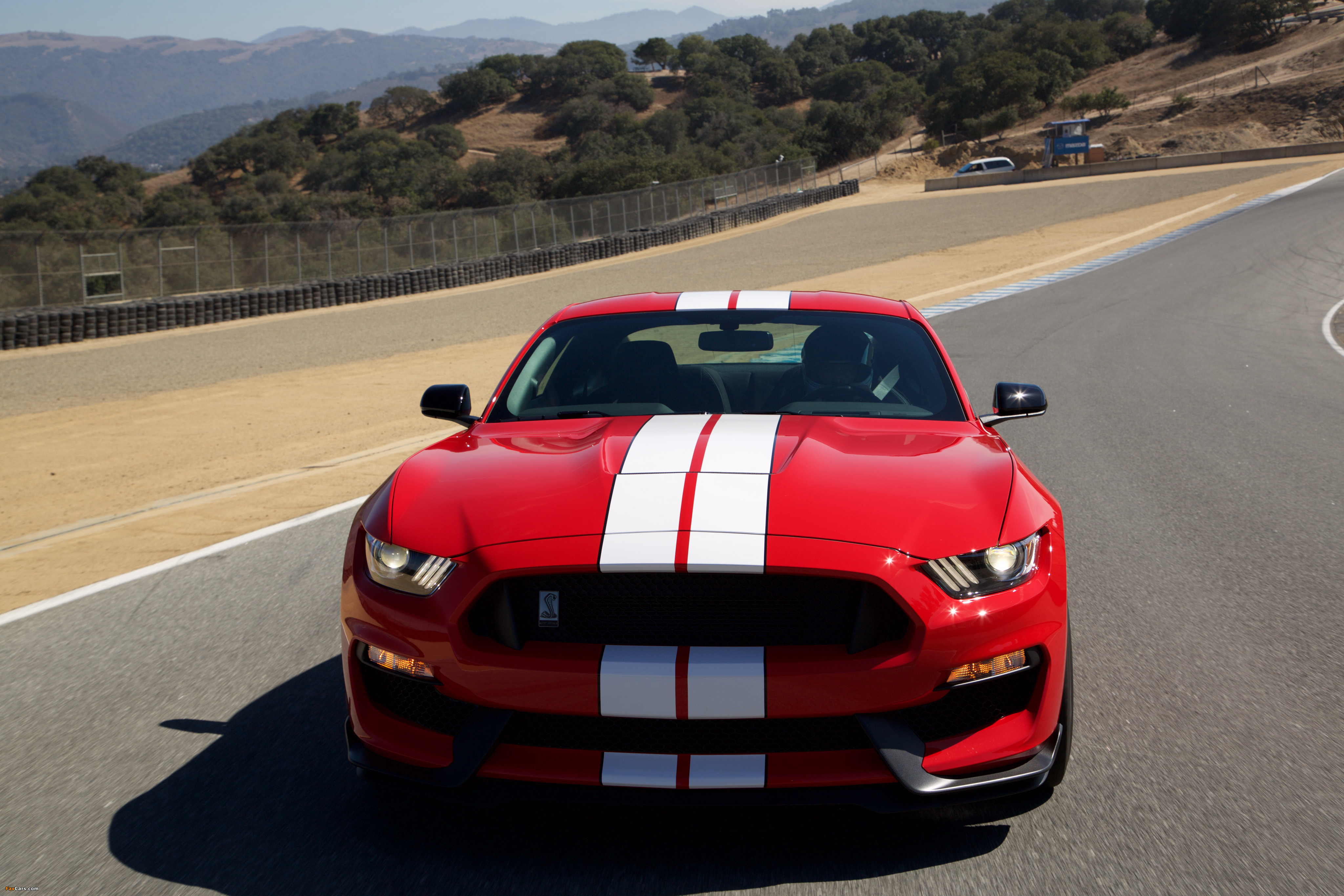 Shelby GT350 Mustang 2015 wallpapers (4096 x 2731)