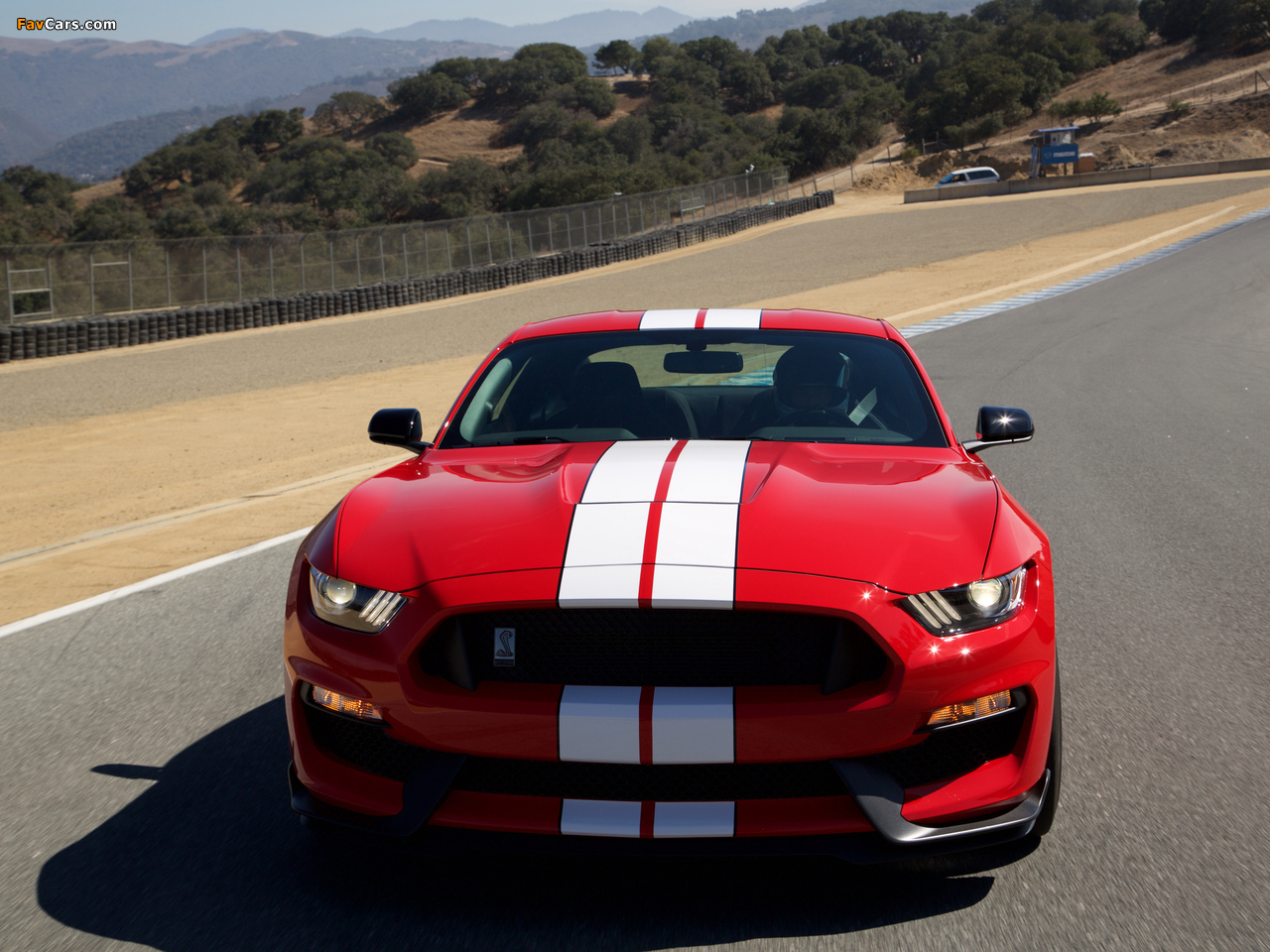 Shelby GT350 Mustang 2015 wallpapers (1280 x 960)