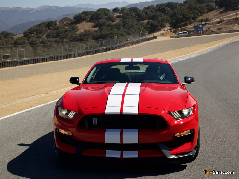 Shelby GT350 Mustang 2015 wallpapers (800 x 600)