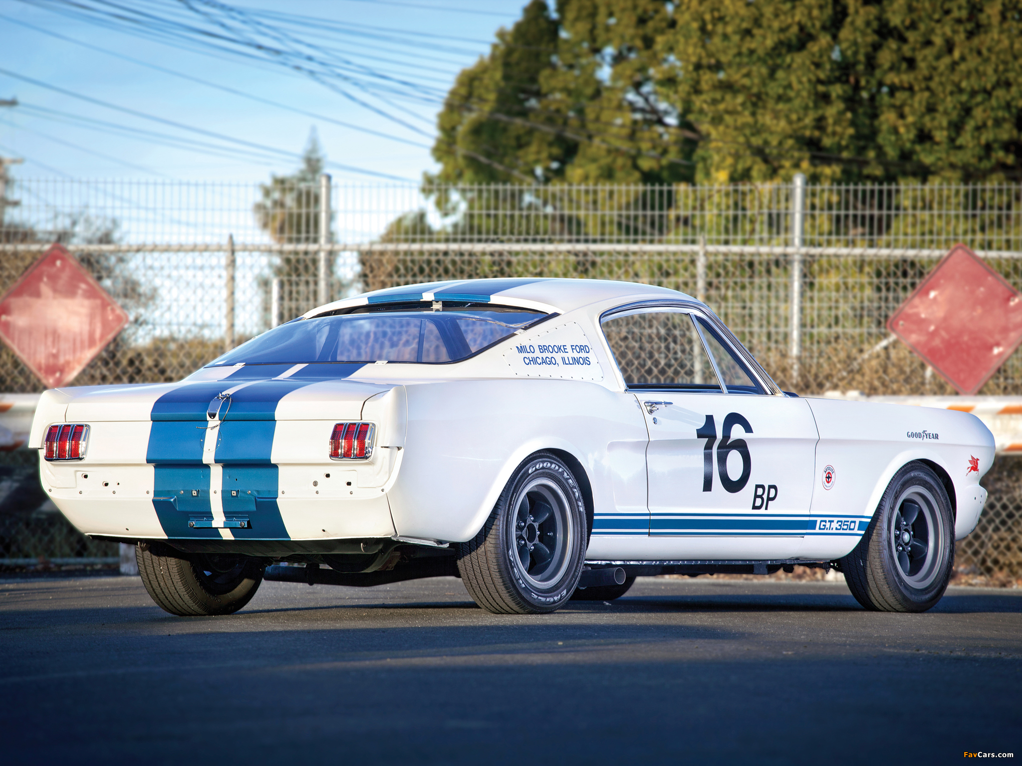 Images of Shelby GT350R 1965 (2048 x 1536)