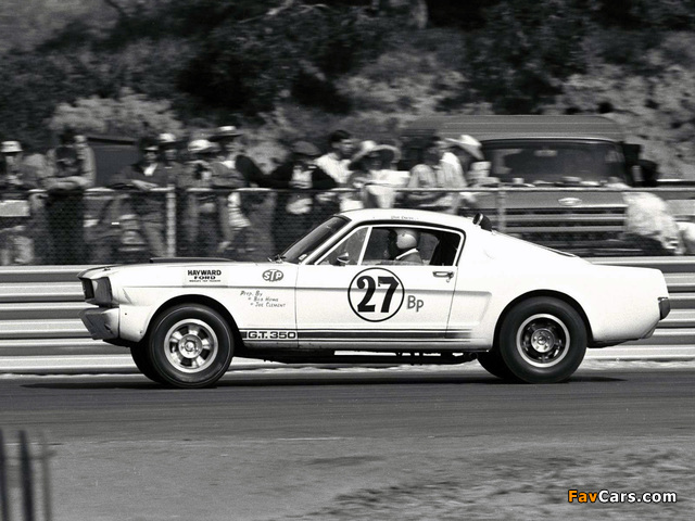 Images of Shelby GT350R 1965 (640 x 480)