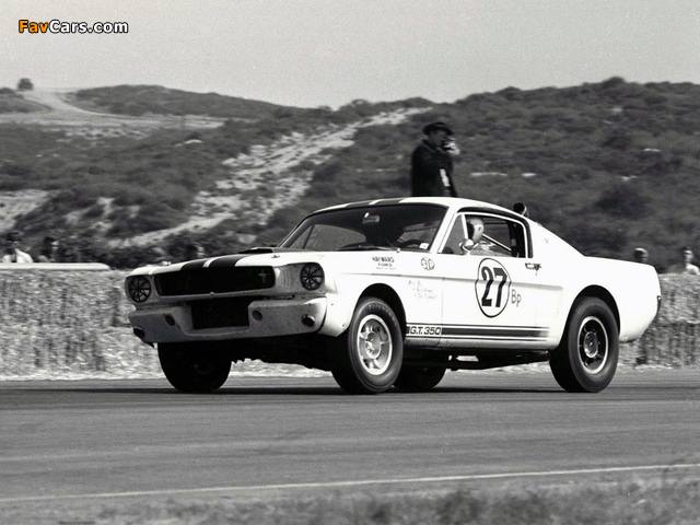 Images of Shelby GT350R 1965 (640 x 480)