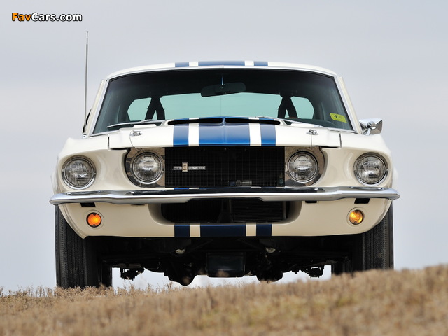 Images of Shelby GT500 Super Snake 1967 (640 x 480)
