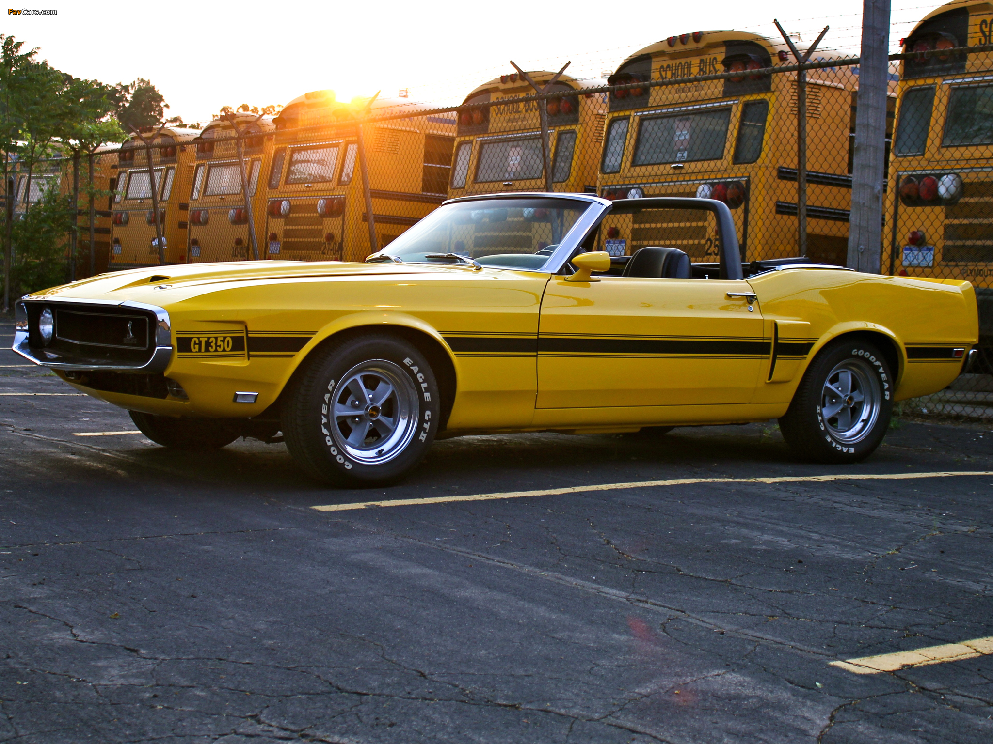 Images of Shelby GT350 Convertible 1969 (2048 x 1536)