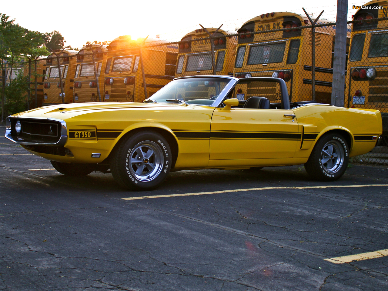 Images of Shelby GT350 Convertible 1969 (1280 x 960)