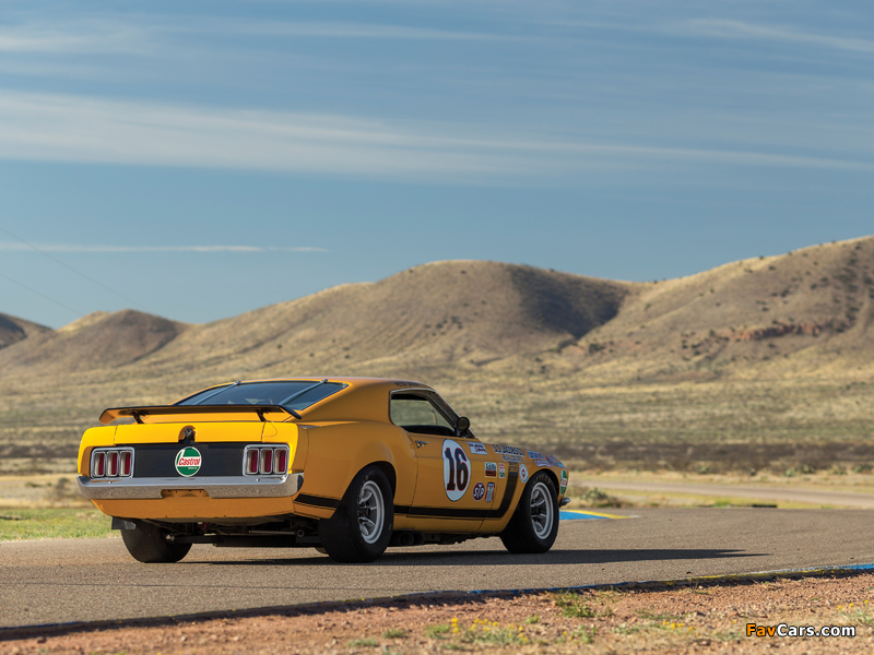 Images of Ford Mustang Boss 302 Trans-Am Race Car 1970 (800 x 600)