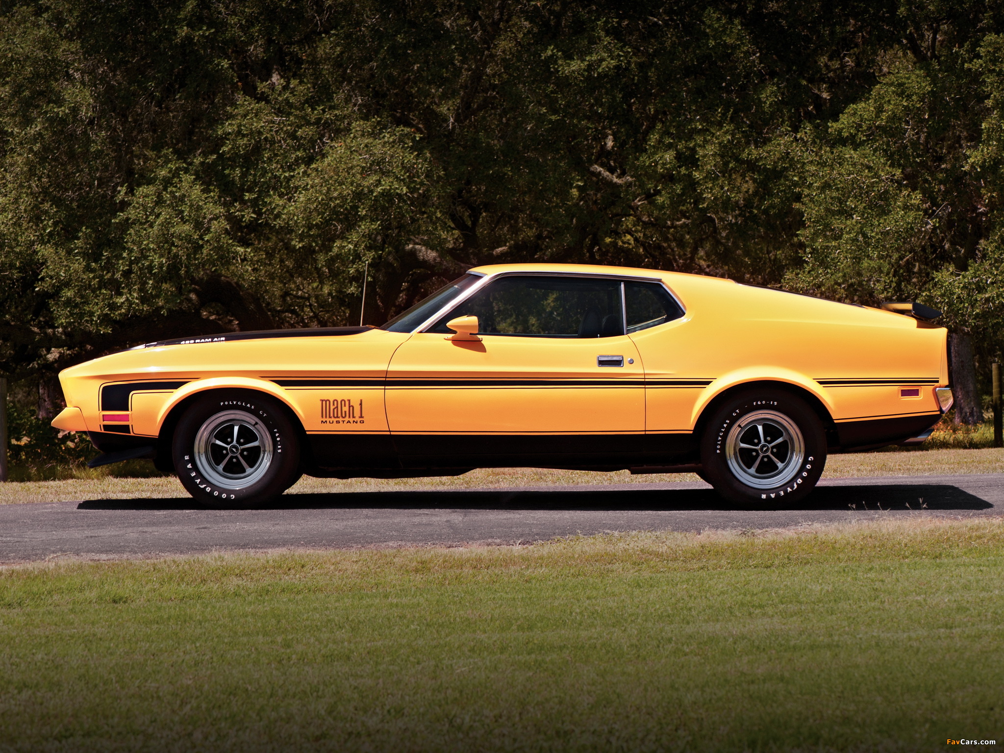 Images of Mustang Mach 1 1971–72 (2048 x 1536)