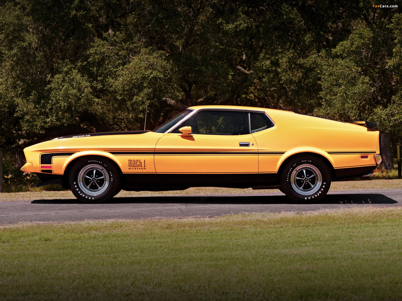 Images of Mustang Mach 1 1971–72 (1600 x 1200)