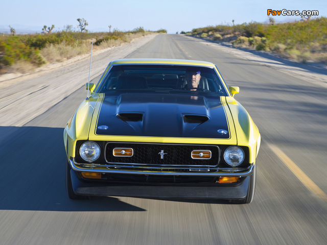 Images of Mustang Boss 351 1971 (640 x 480)