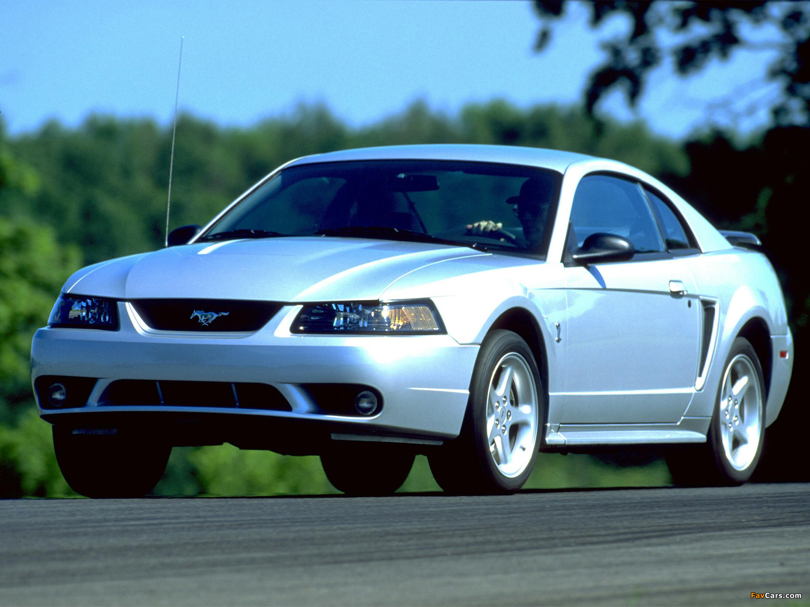 Images of Mustang SVT Cobra Coupe 1999–2002 (1600 x 1200)