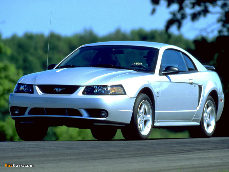 Images of Mustang SVT Cobra Coupe 1999–2002 (800 x 600)