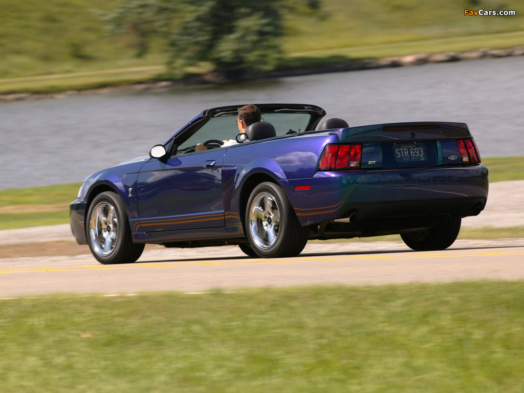 Images of Mustang SVT Cobra Convertible 2004–05 (1024 x 768)