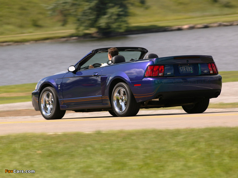 Images of Mustang SVT Cobra Convertible 2004–05 (800 x 600)