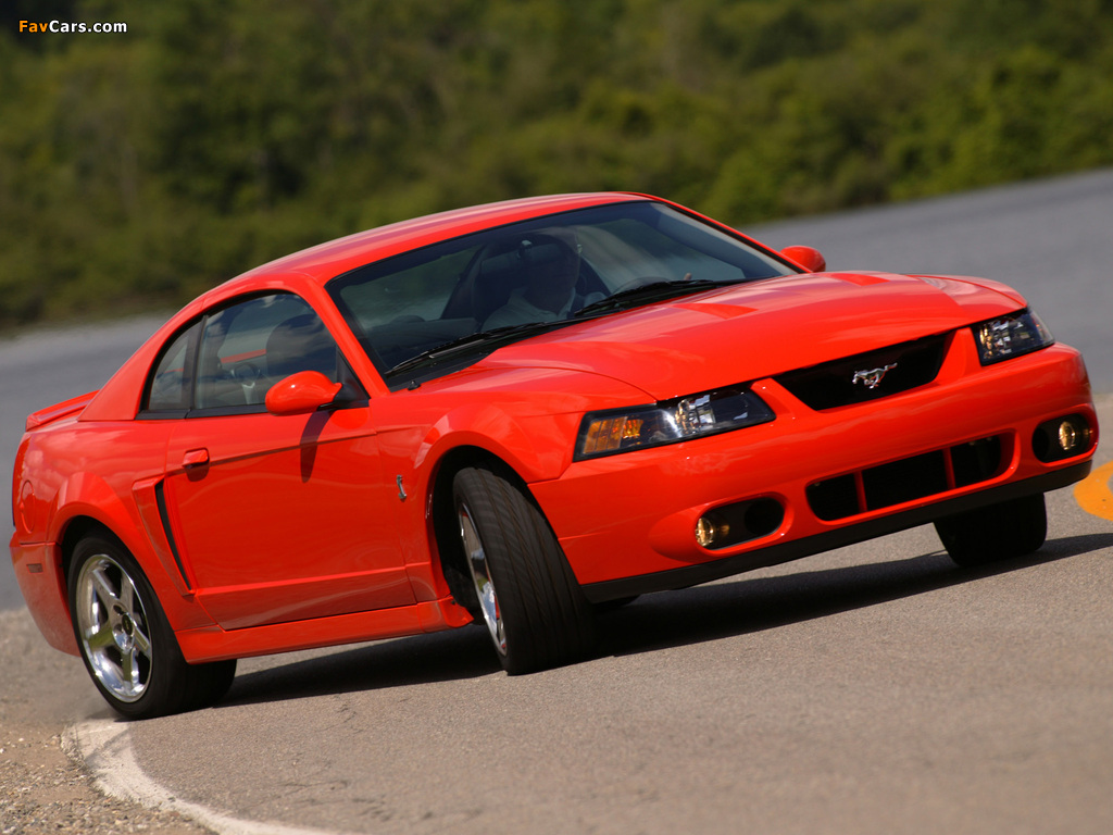 Images of Mustang SVT Cobra Coupe 2004–05 (1024 x 768)