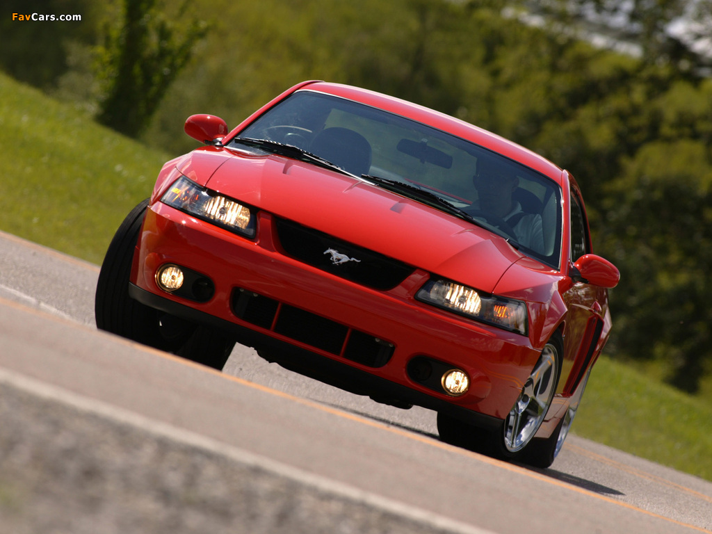 Images of Mustang SVT Cobra Coupe 2004–05 (1024 x 768)