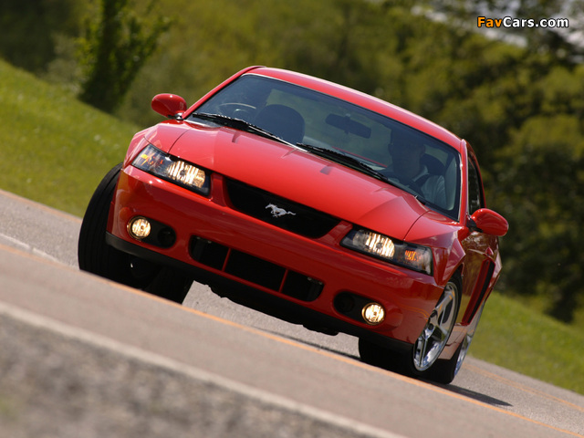 Images of Mustang SVT Cobra Coupe 2004–05 (640 x 480)