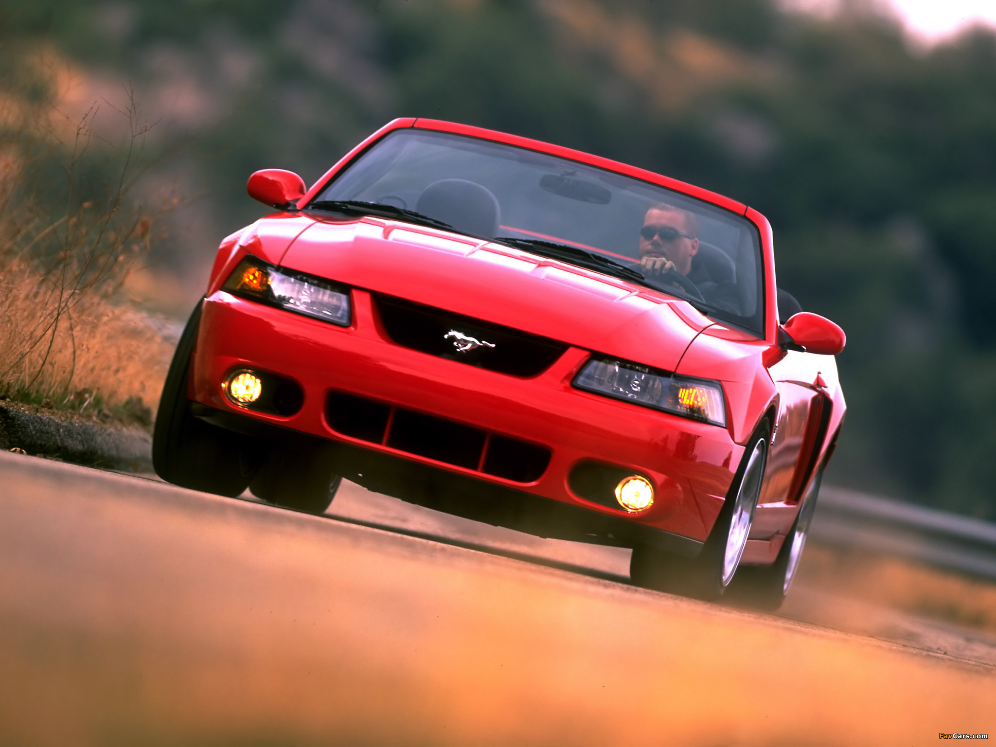 Images of Mustang SVT Cobra Convertible 2004–05 (2048 x 1536)