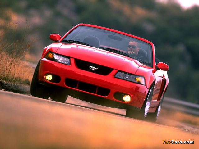 Images of Mustang SVT Cobra Convertible 2004–05 (640 x 480)