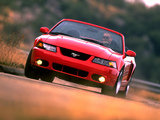 Images of Mustang SVT Cobra Convertible 2004–05
