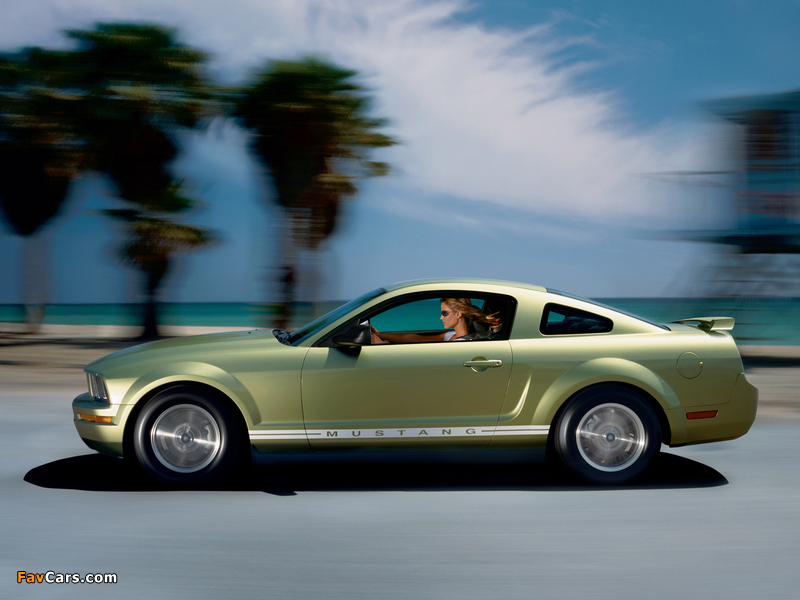 Images of Mustang Coupe 2005–08 (800 x 600)