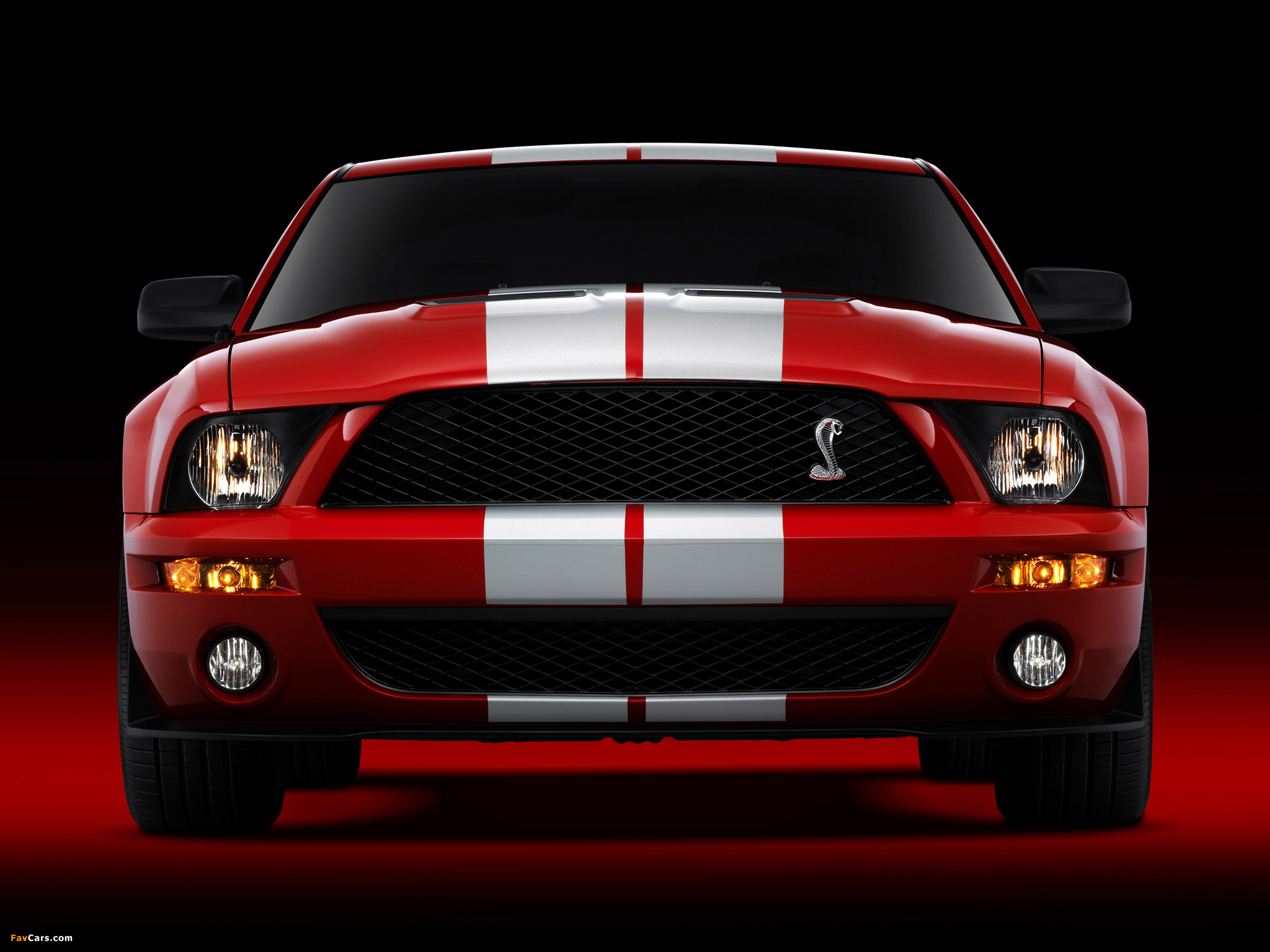 Images of Shelby GT500 2005–08 (2048 x 1536)