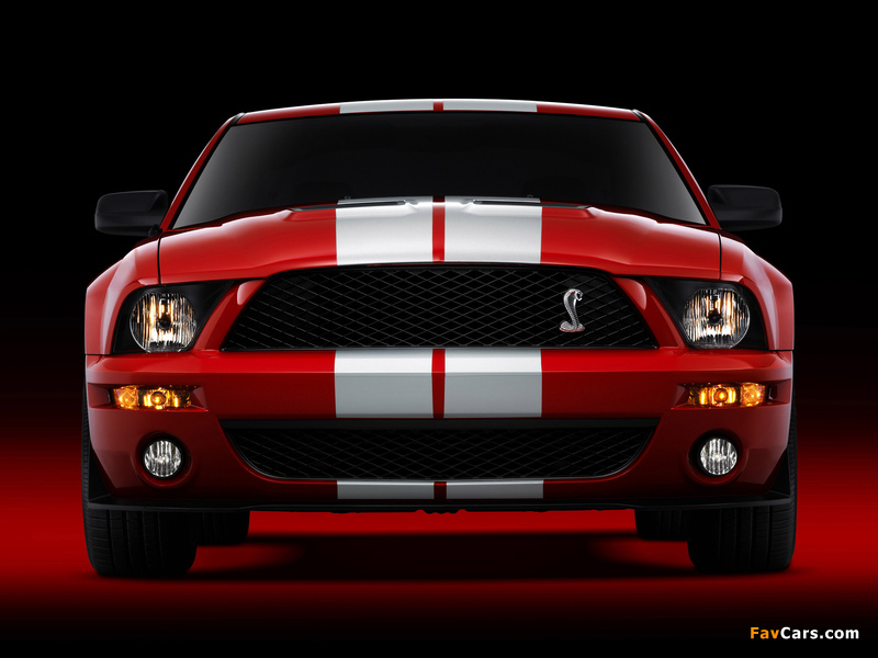 Images of Shelby GT500 2005–08 (800 x 600)